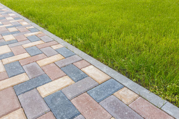 Best Professional Driveway Pavers  in Lemon Grove, CA